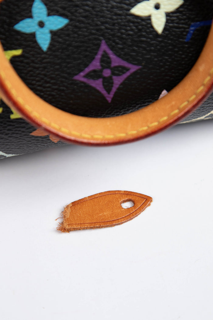 RARE Louis Vuitton x Takashi Murakami Black Multicolour Nano Speedy