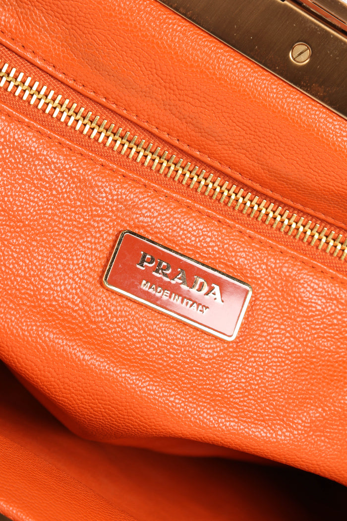 Limited Edition Prada Venetian Scene Shoulder Bag