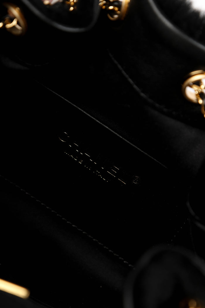 BRAND NEW Chanel Métiers d'art 2026 Black Pony Hair Mini 25 Shoulder Bag
