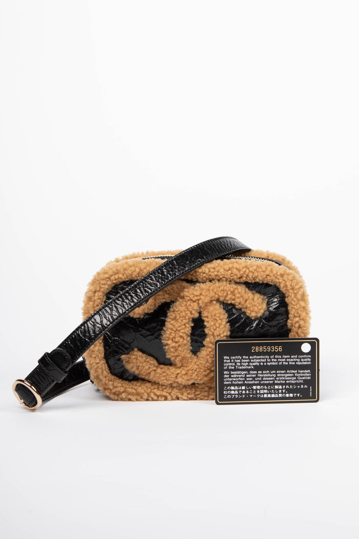 2019 Chanel Shearling and Shiny Aged Calfskin Mini Camera Bag