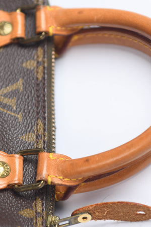 90s Louis Vuitton Monogram Nano Speedy