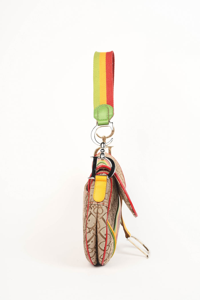RARE 2004 Christian Dior Galliano Rasta Print Saddle Bag