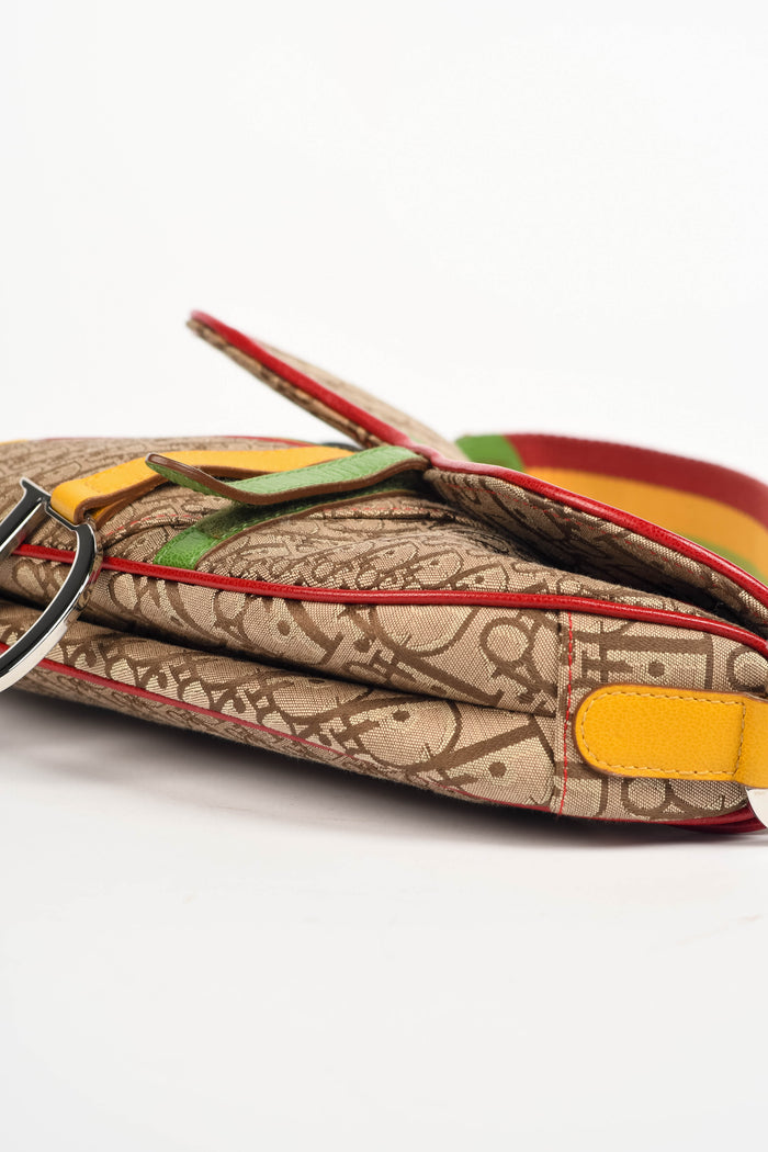 RARE 2004 Christian Dior Galliano Rasta Print Saddle Bag