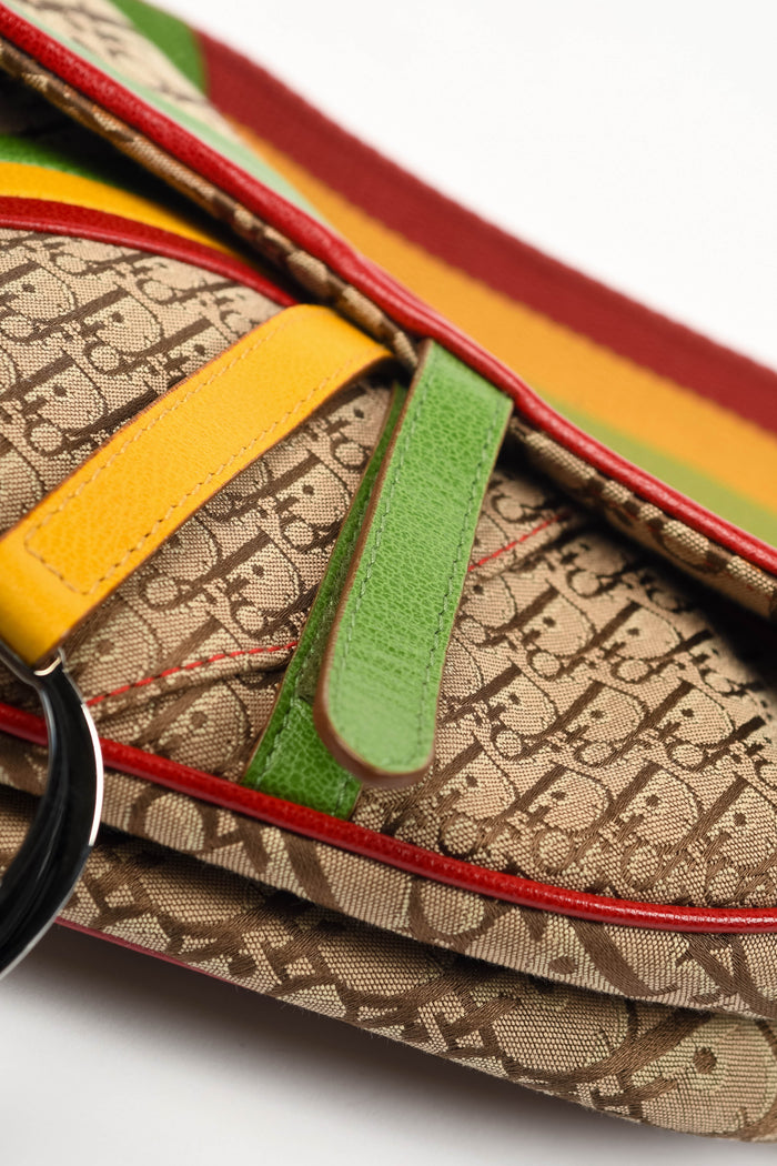 RARE 2004 Christian Dior Galliano Rasta Print Saddle Bag