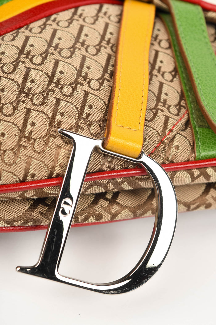 RARE 2004 Christian Dior Galliano Rasta Print Saddle Bag
