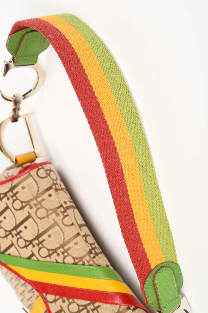 RARE 2004 Christian Dior Galliano Rasta Print Saddle Bag
