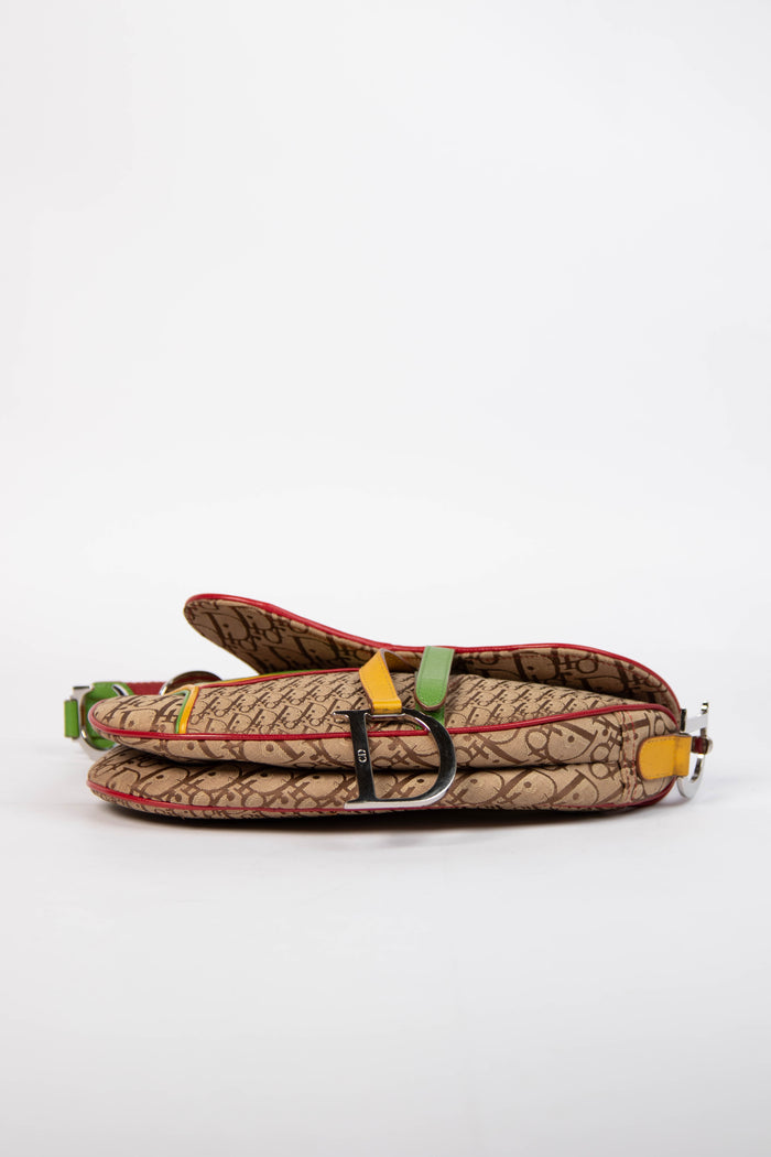 RARE 2004 Christian Dior Galliano Rasta Print Saddle Bag
