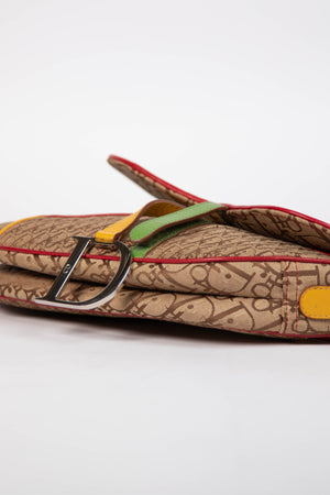 RARE 2004 Christian Dior Galliano Rasta Print Saddle Bag