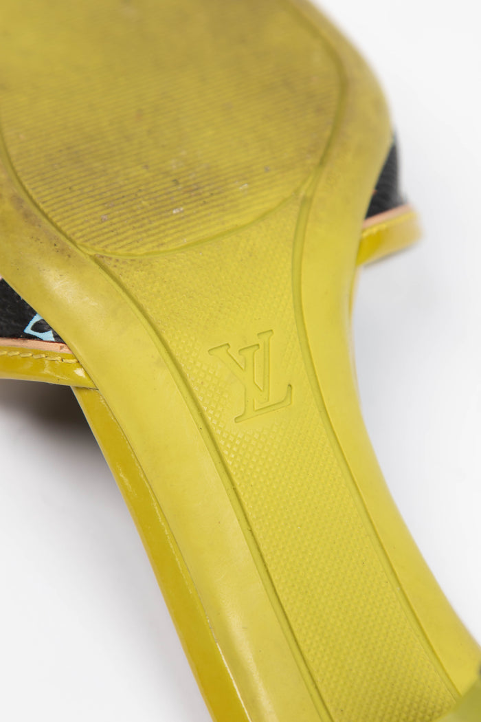 2000s Louis Vuitton x Takashi Murakami Multicolour Monogram Mules (EU 35.5)